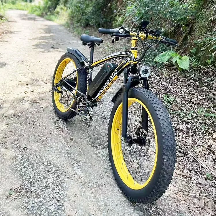eoeotwo electric bike brand intro